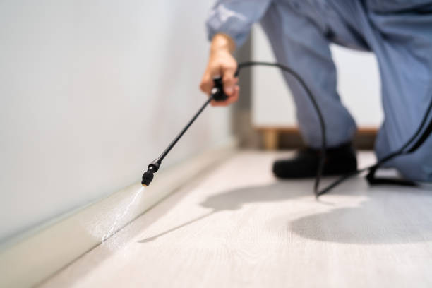 Bed Bug Pre-Treatment Preparation Assessment in Clyde